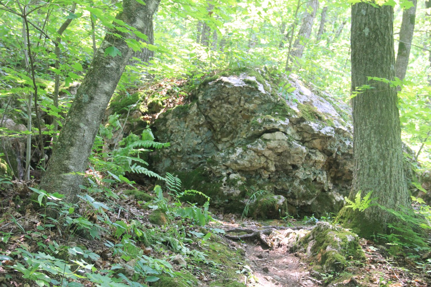 Bluemond SP Flint Rock Trail 